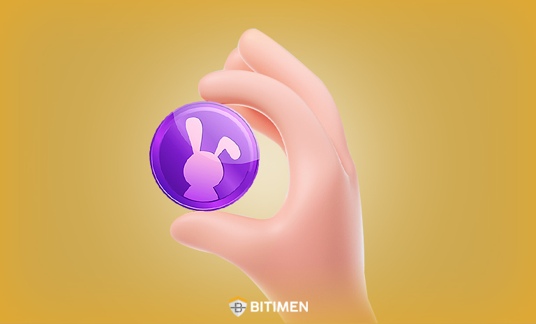 ارز دیجیتال راکی ربیت چه کاربردی دارد؟
