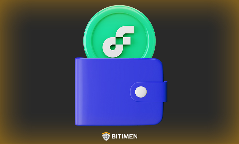 بهترین کیف پول ارز فلو چیست؟