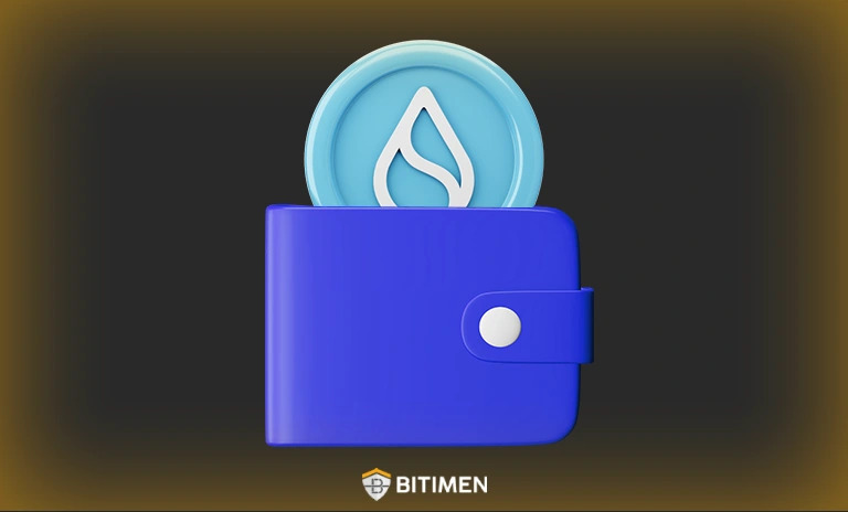 بهترین کیف پول ارز دیجیتال سویی چیست؟