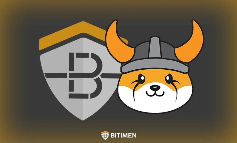 راهنمای خرید ارز FLOKI INU در صرافی بیت ایمن