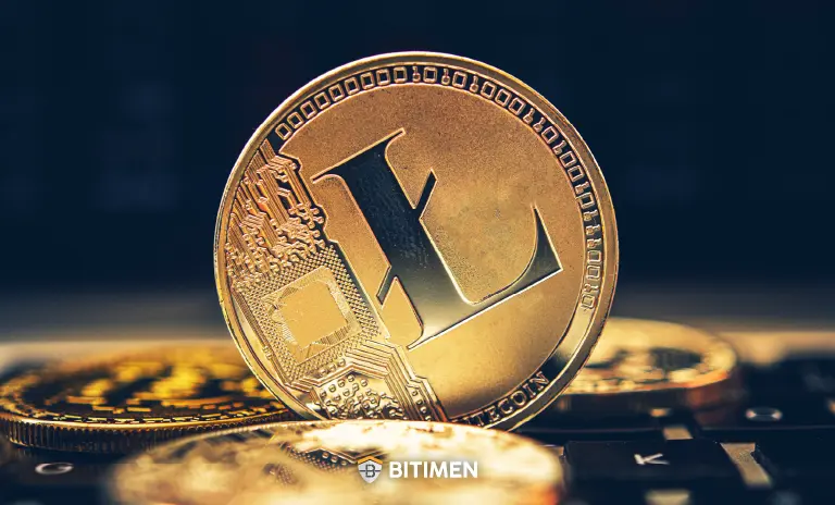 بررسی تاریخچه قیمت لایت کوین