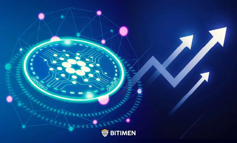 دلایل خرید کاردانو از صرافی بیت ایمن
