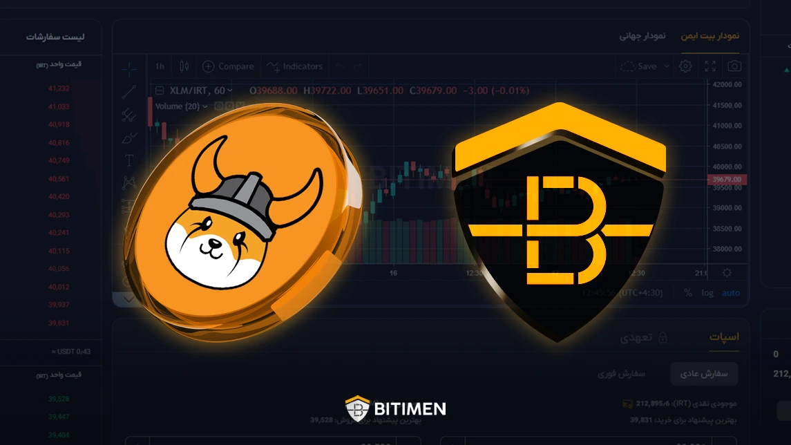 دلایل خرید فلوکی از صرافی بیت ایمن