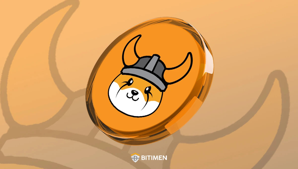 کاربردهای ارز دیجیتال فلوکی اینو چیست؟