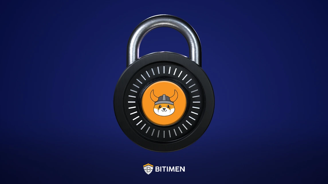 بهترین کیف پول فلوکی اینو چیست؟