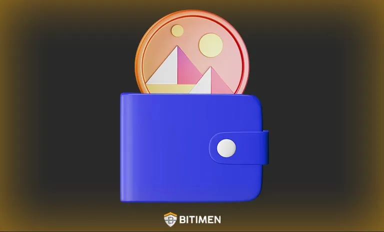 بهترین کیف پول ارز مانا چیست؟