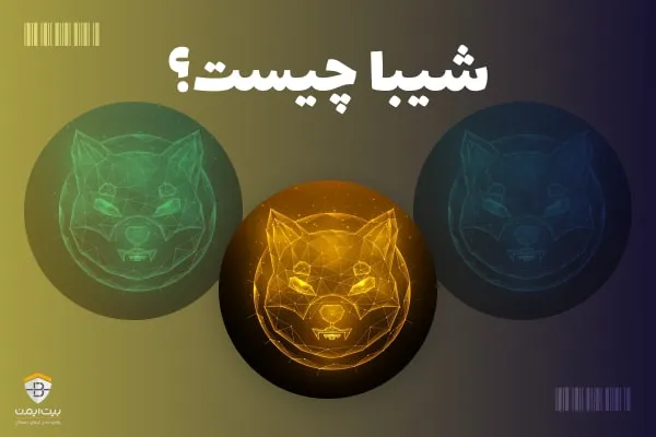شیبا چیست؟ همه چیز درباره شیبا اینو (SHIB)
